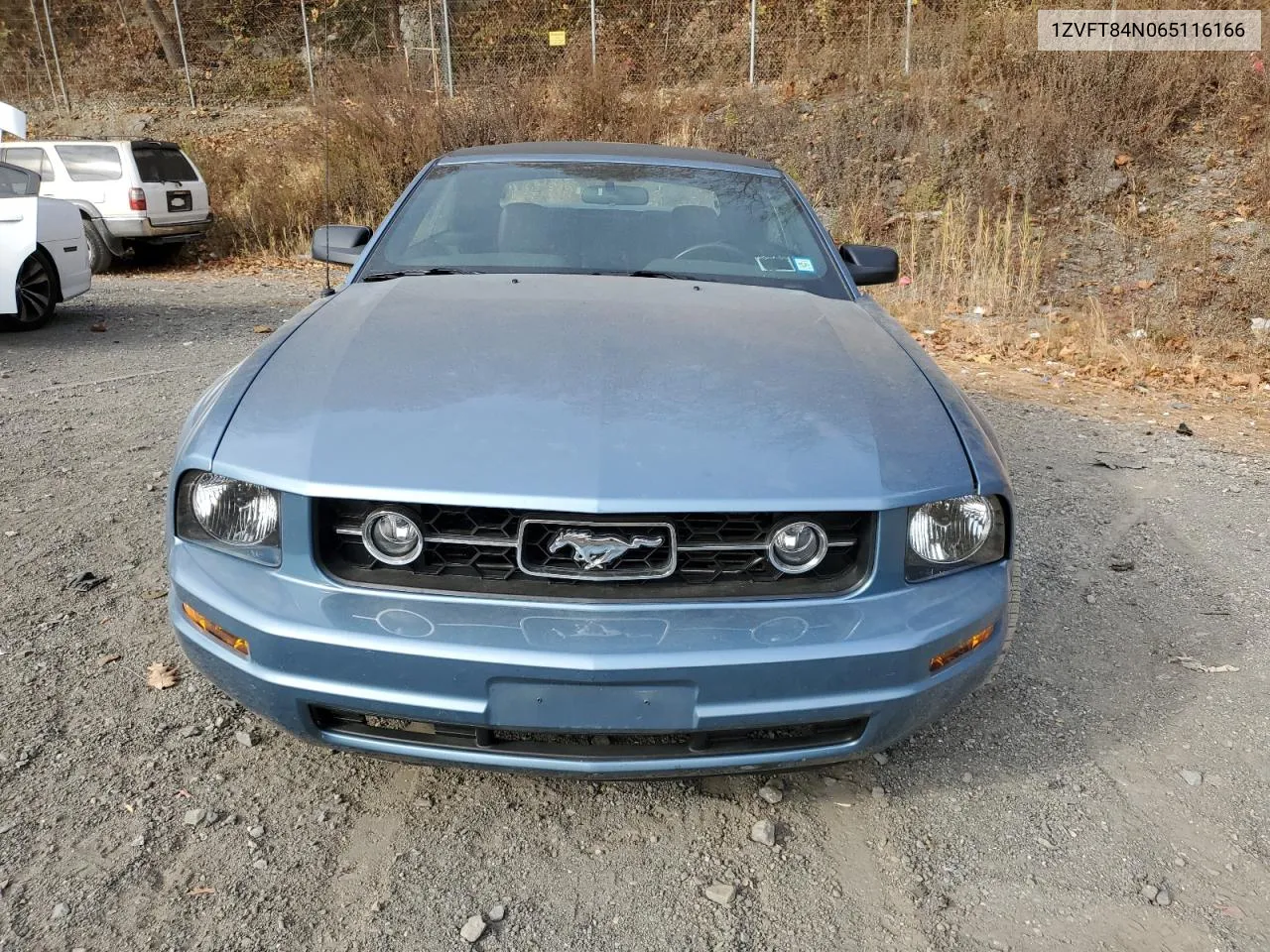 2006 Ford Mustang VIN: 1ZVFT84N065116166 Lot: 78828354