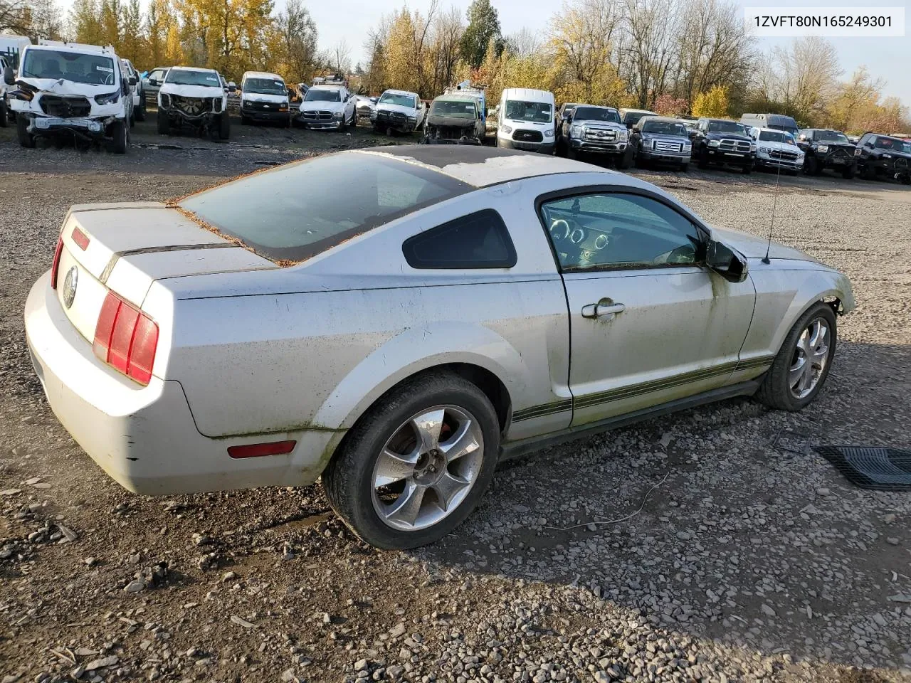 2006 Ford Mustang VIN: 1ZVFT80N165249301 Lot: 79241734