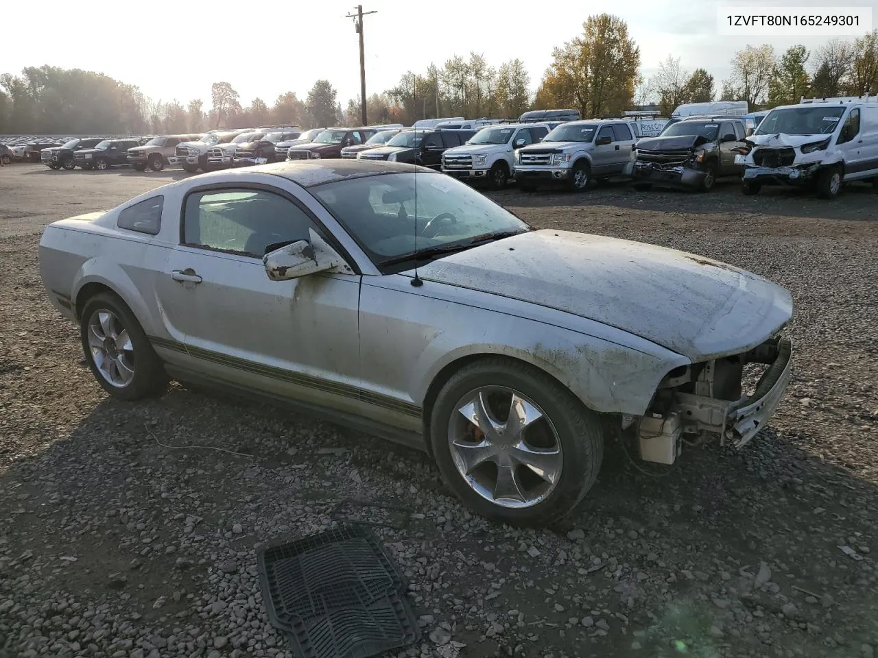 2006 Ford Mustang VIN: 1ZVFT80N165249301 Lot: 79241734