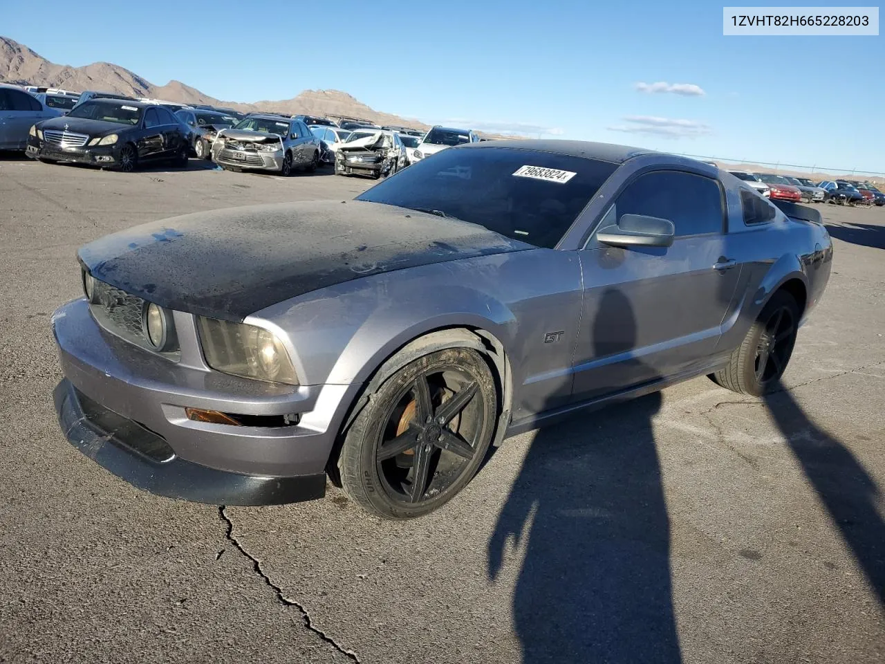 2006 Ford Mustang Gt VIN: 1ZVHT82H665228203 Lot: 79683824