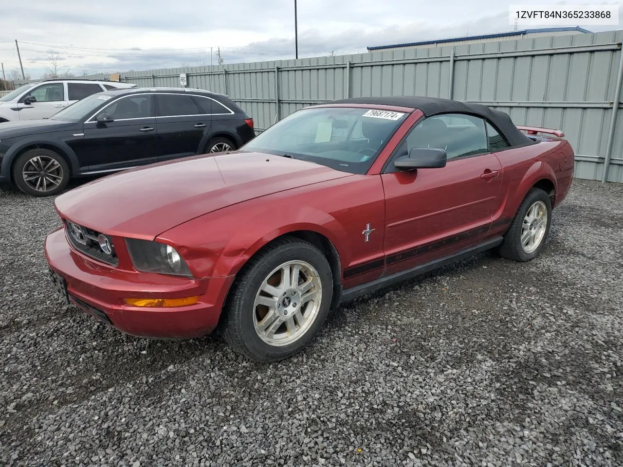 2006 Ford Mustang VIN: 1ZVFT84N365233868 Lot: 79687174