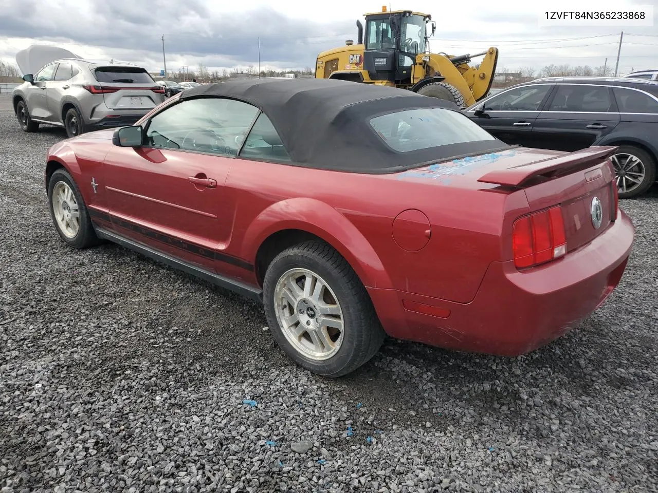 2006 Ford Mustang VIN: 1ZVFT84N365233868 Lot: 79687174