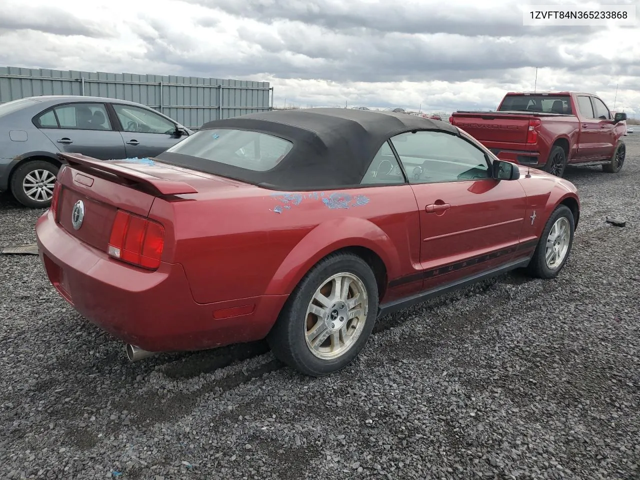 2006 Ford Mustang VIN: 1ZVFT84N365233868 Lot: 79687174