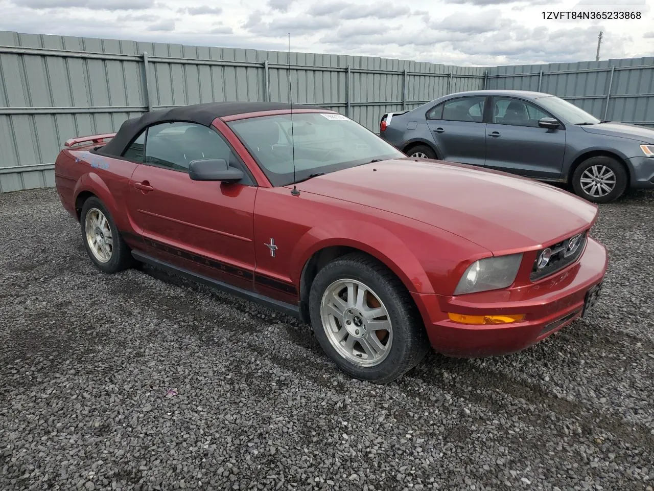 2006 Ford Mustang VIN: 1ZVFT84N365233868 Lot: 79687174