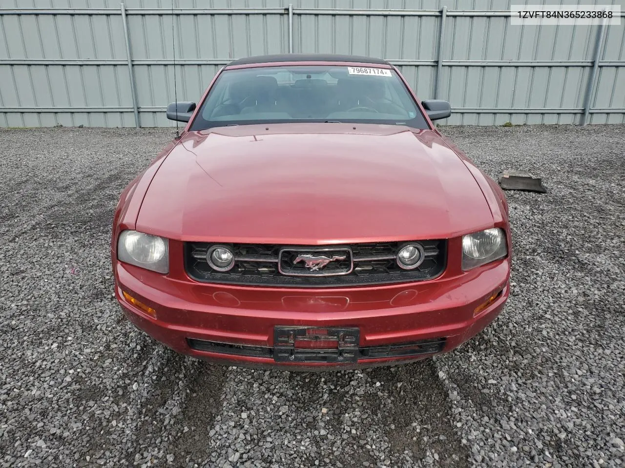 2006 Ford Mustang VIN: 1ZVFT84N365233868 Lot: 79687174