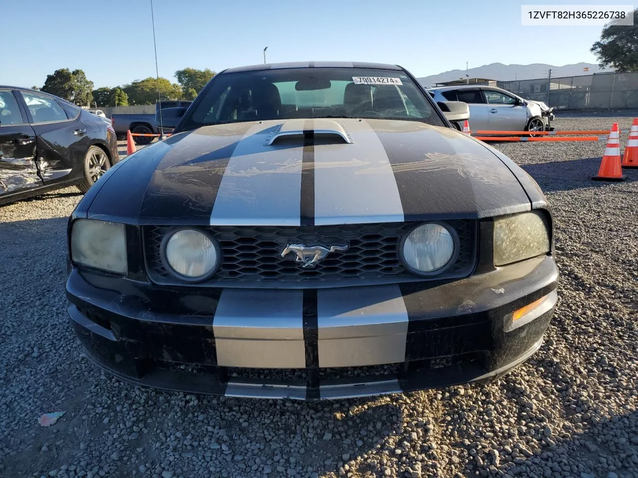 2006 Ford Mustang Gt VIN: 1ZVFT82H365226738 Lot: 79914274