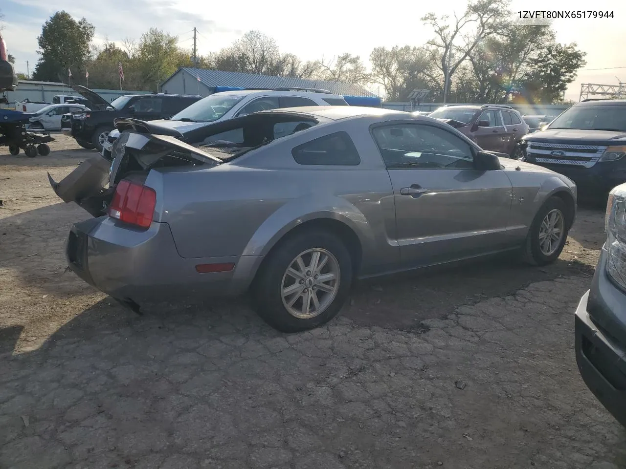 2006 Ford Mustang VIN: 1ZVFT80NX65179944 Lot: 80428074