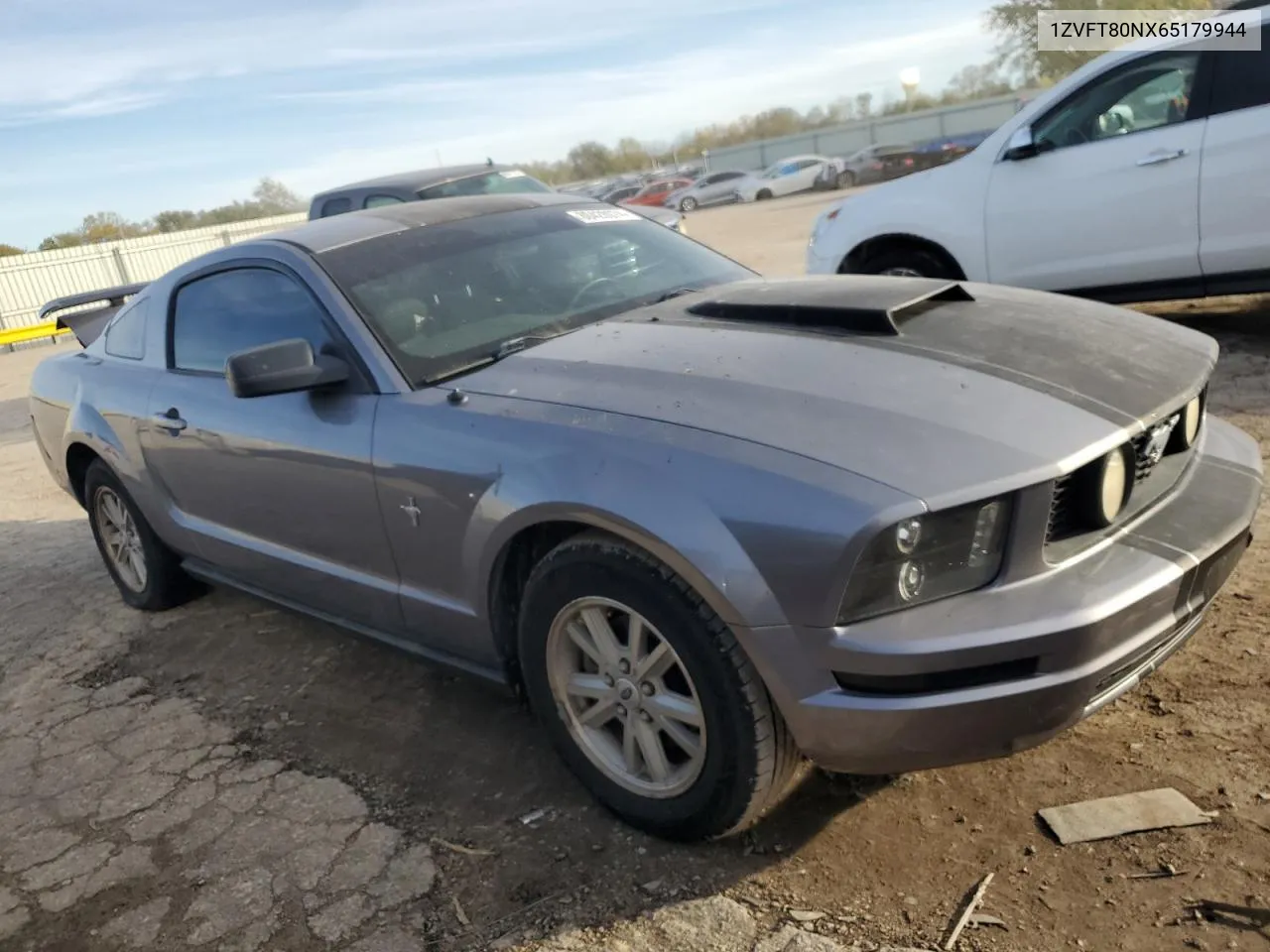 2006 Ford Mustang VIN: 1ZVFT80NX65179944 Lot: 80428074