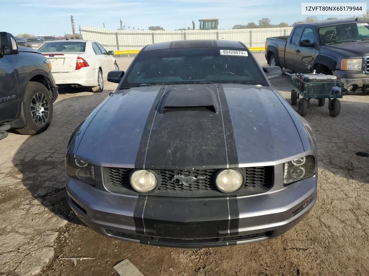 2006 Ford Mustang VIN: 1ZVFT80NX65179944 Lot: 80428074