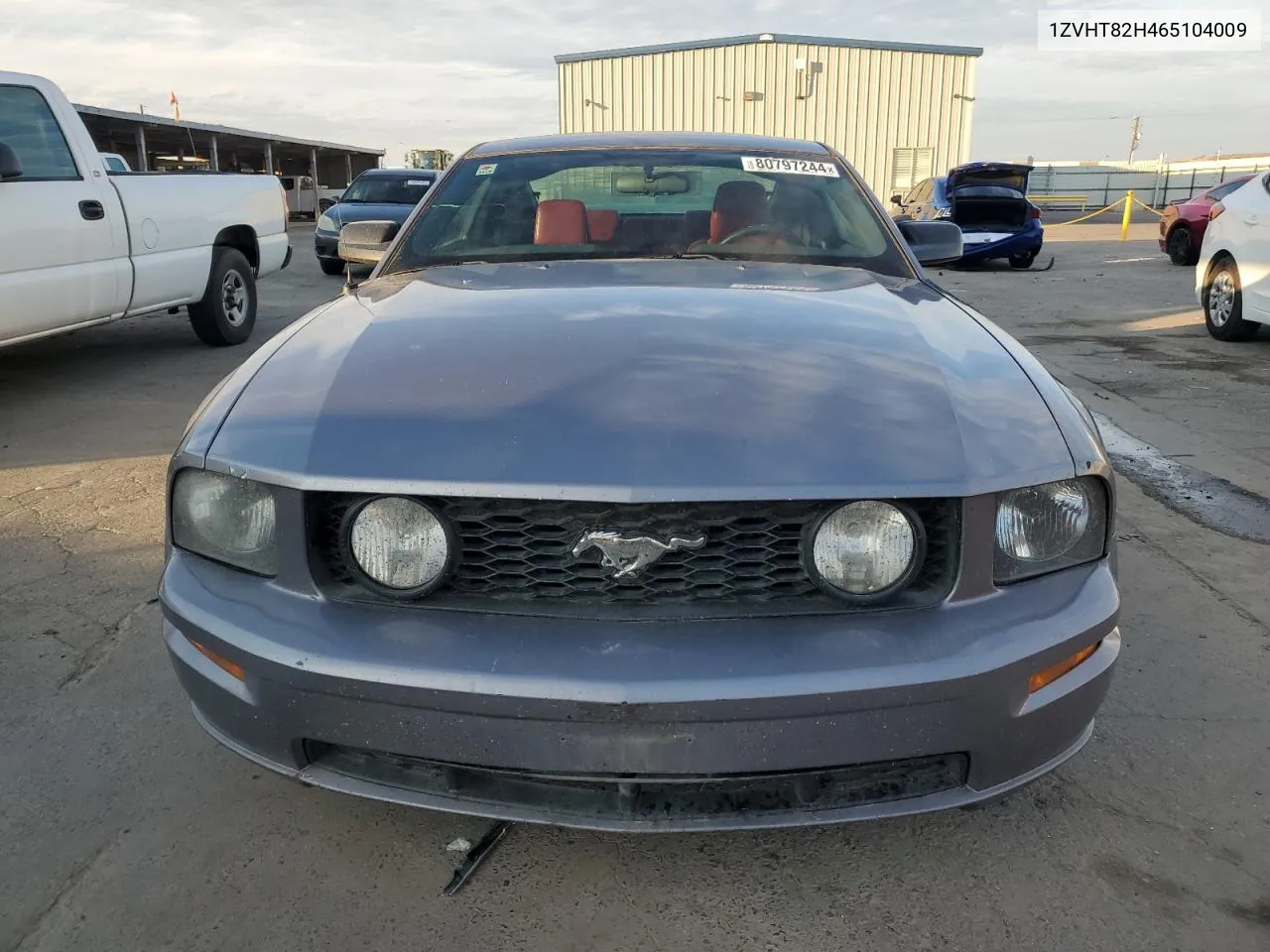 2006 Ford Mustang Gt VIN: 1ZVHT82H465104009 Lot: 80797244