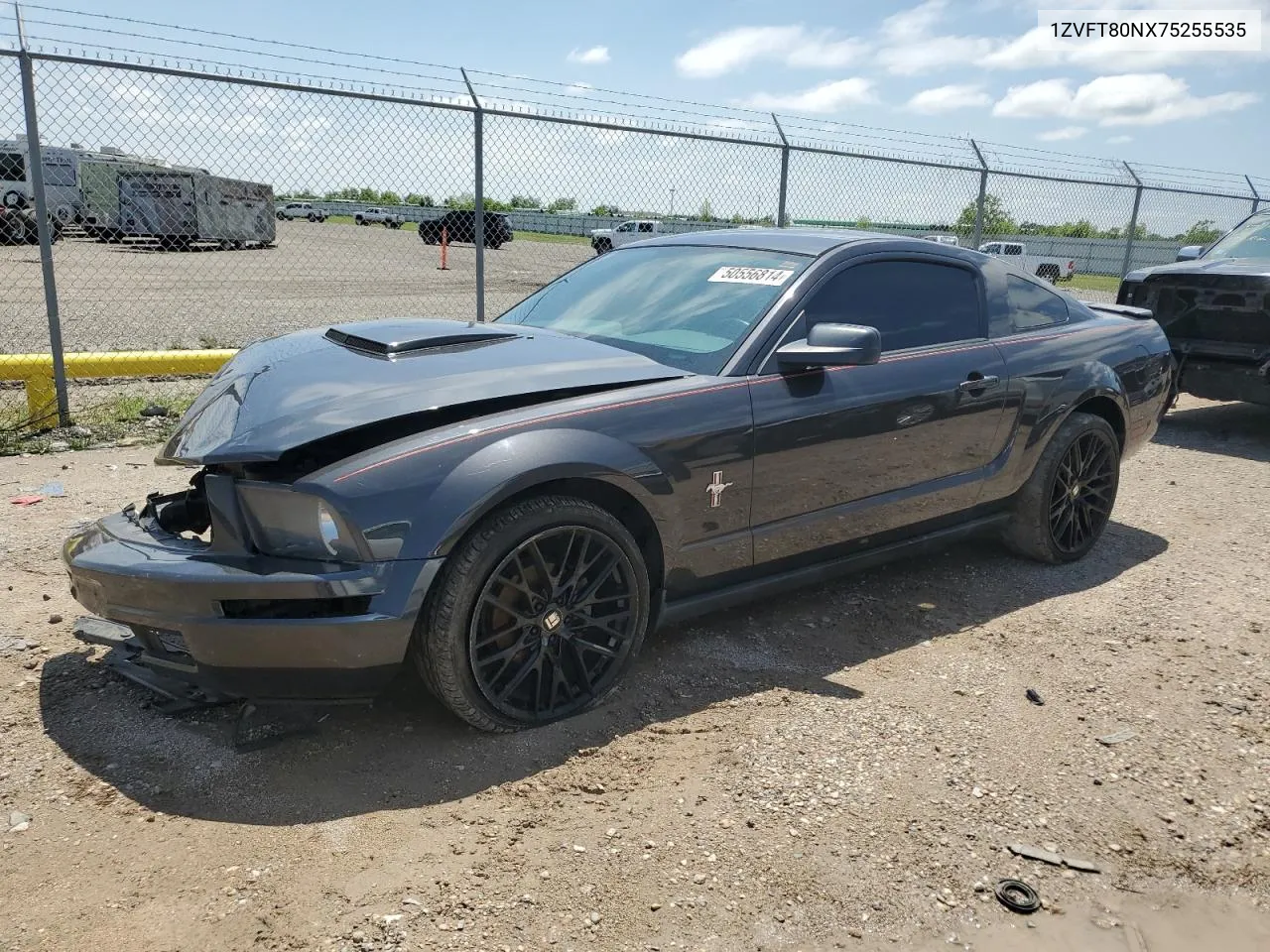 2007 Ford Mustang VIN: 1ZVFT80NX75255535 Lot: 50556814