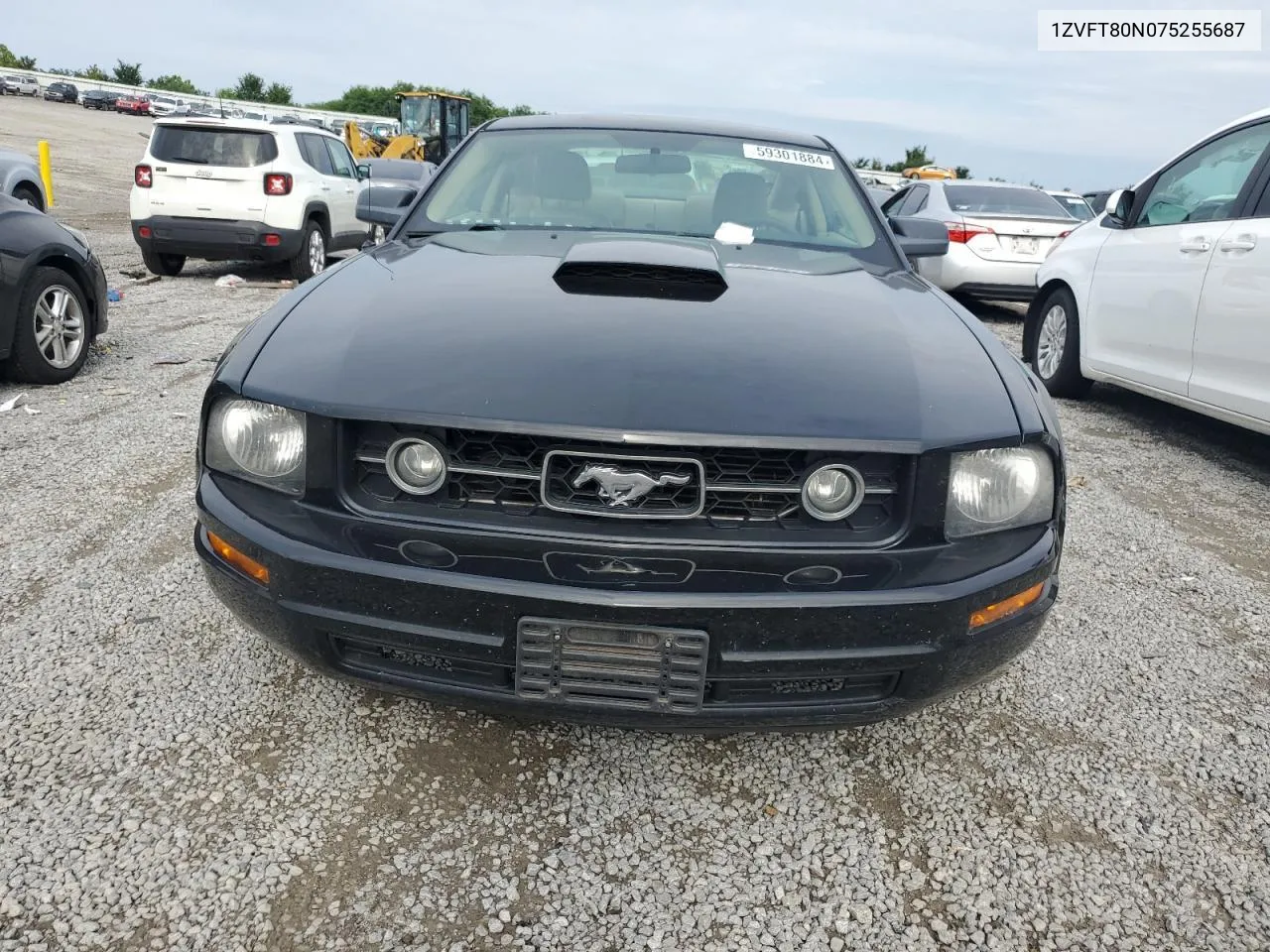 2007 Ford Mustang VIN: 1ZVFT80N075255687 Lot: 59301884