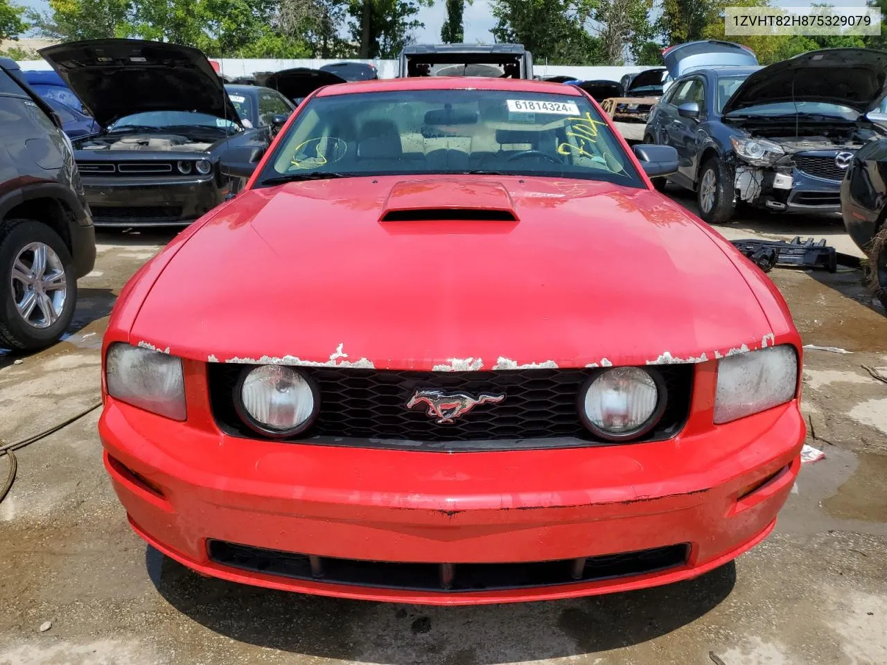 1ZVHT82H875329079 2007 Ford Mustang Gt