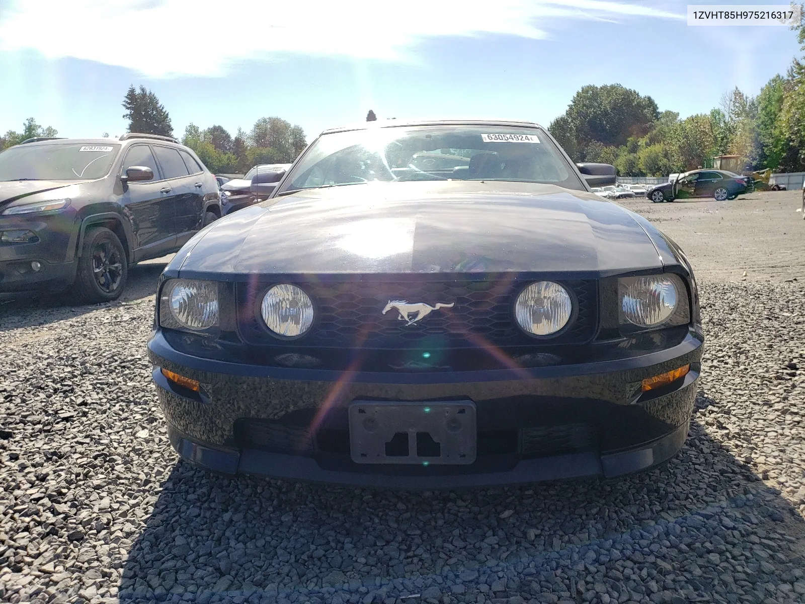 2007 Ford Mustang Gt VIN: 1ZVHT85H975216317 Lot: 63054924