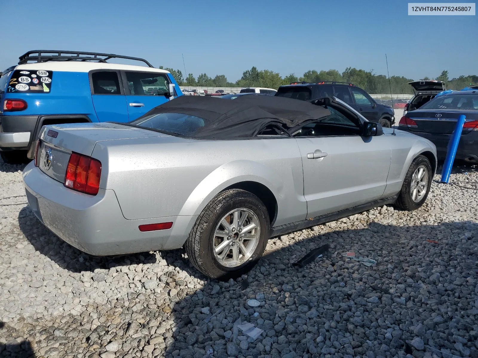 2007 Ford Mustang VIN: 1ZVHT84N775245807 Lot: 64271324