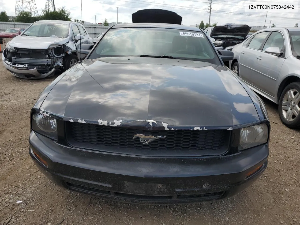 2007 Ford Mustang VIN: 1ZVFT80N075342442 Lot: 65919724