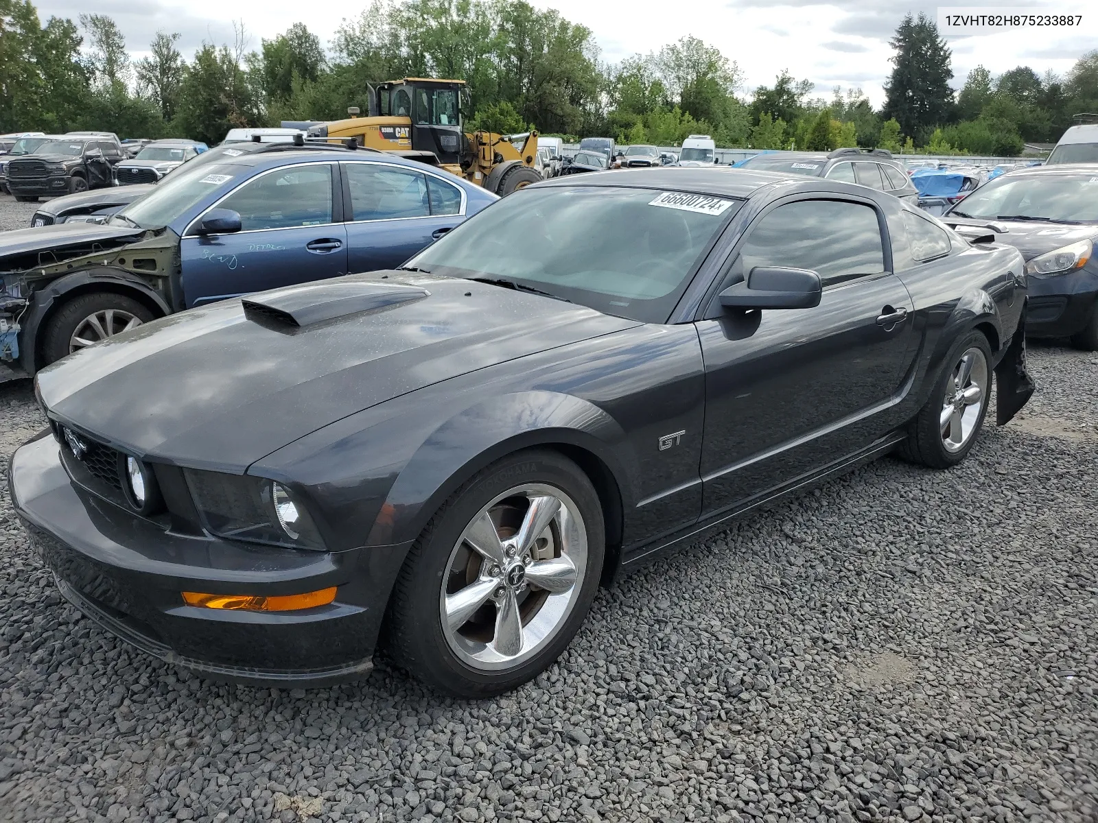 2007 Ford Mustang Gt VIN: 1ZVHT82H875233887 Lot: 66600724