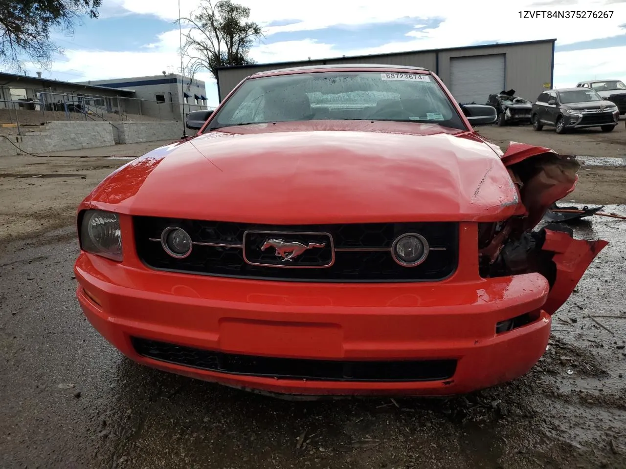 2007 Ford Mustang VIN: 1ZVFT84N375276267 Lot: 68723674