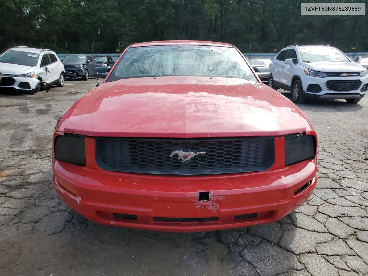 2007 Ford Mustang VIN: 1ZVFT80N875239589 Lot: 71012924