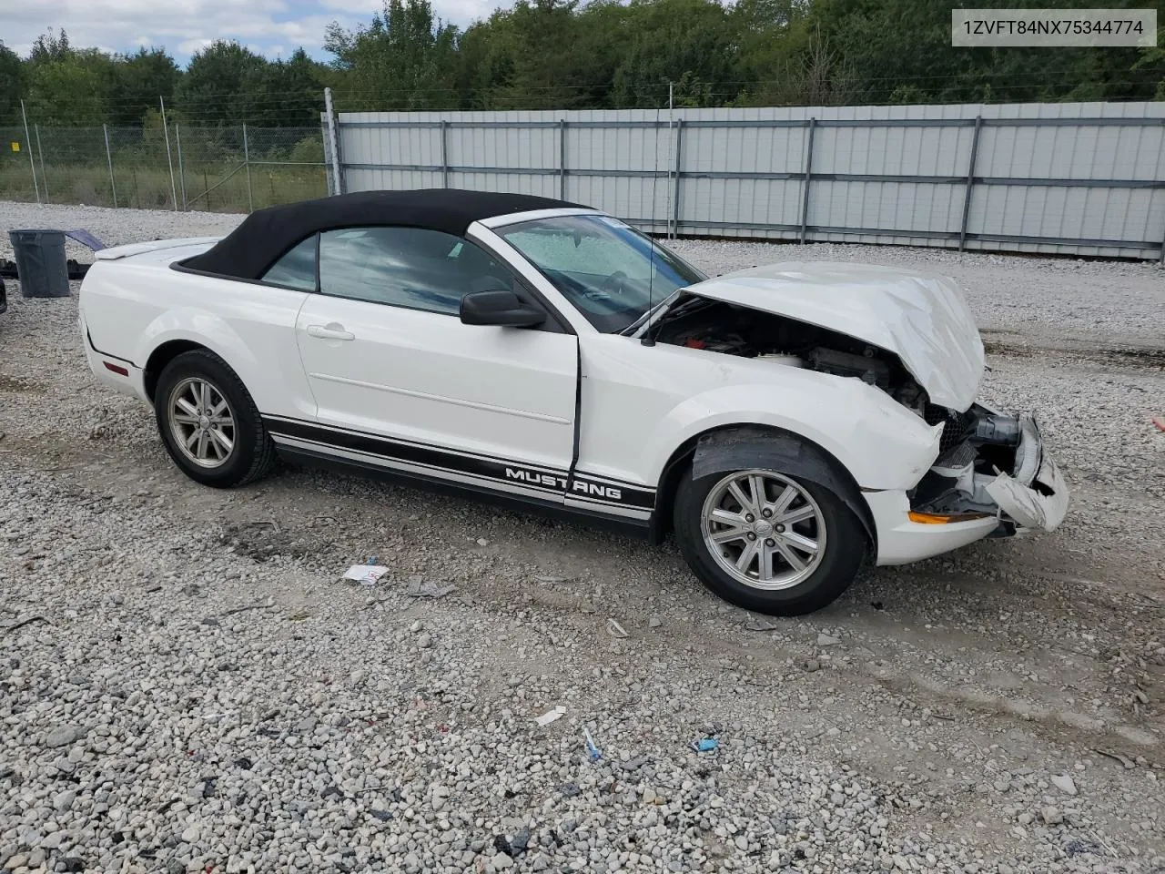 2007 Ford Mustang VIN: 1ZVFT84NX75344774 Lot: 71443904