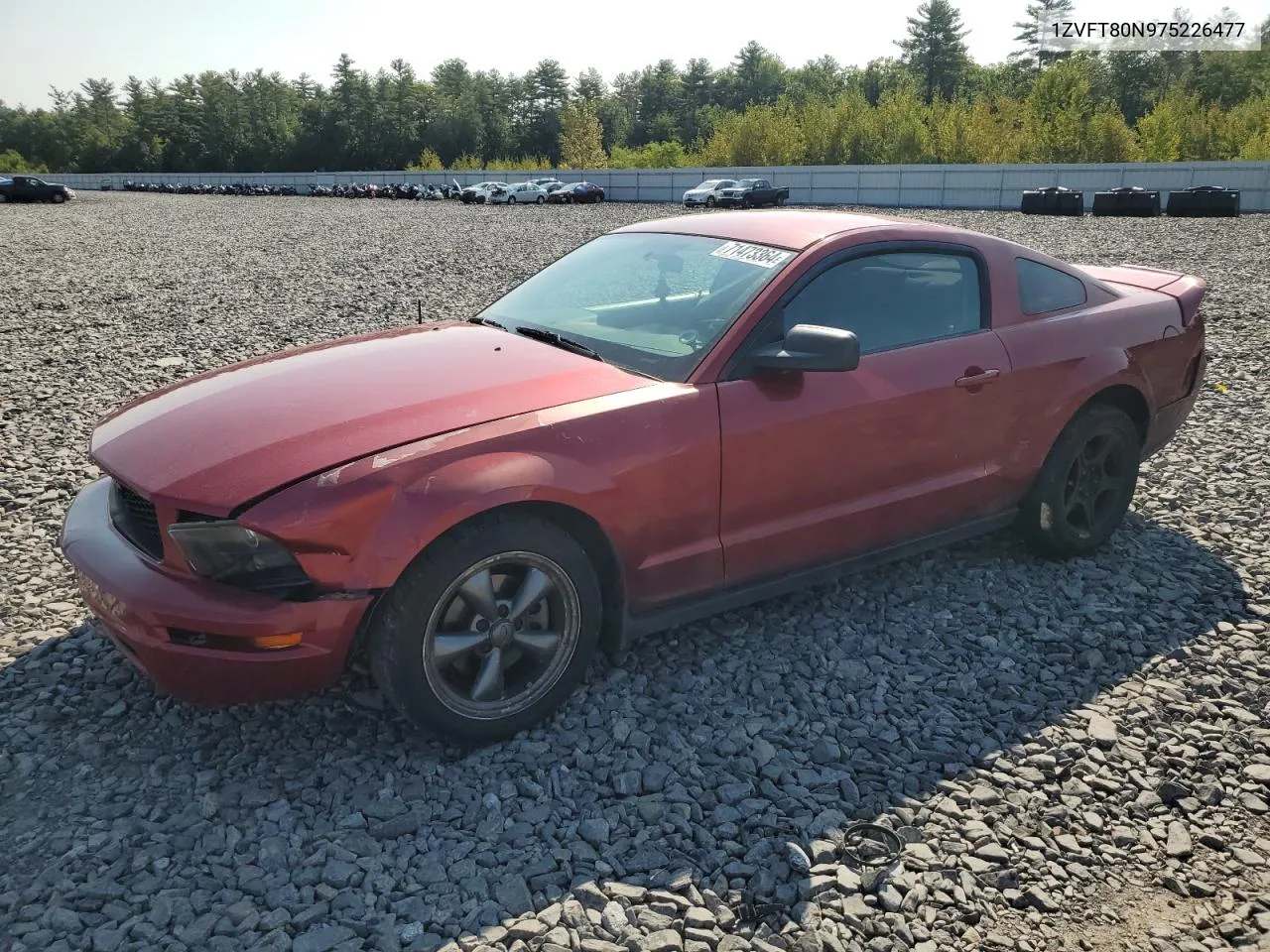 2007 Ford Mustang VIN: 1ZVFT80N975226477 Lot: 71473364