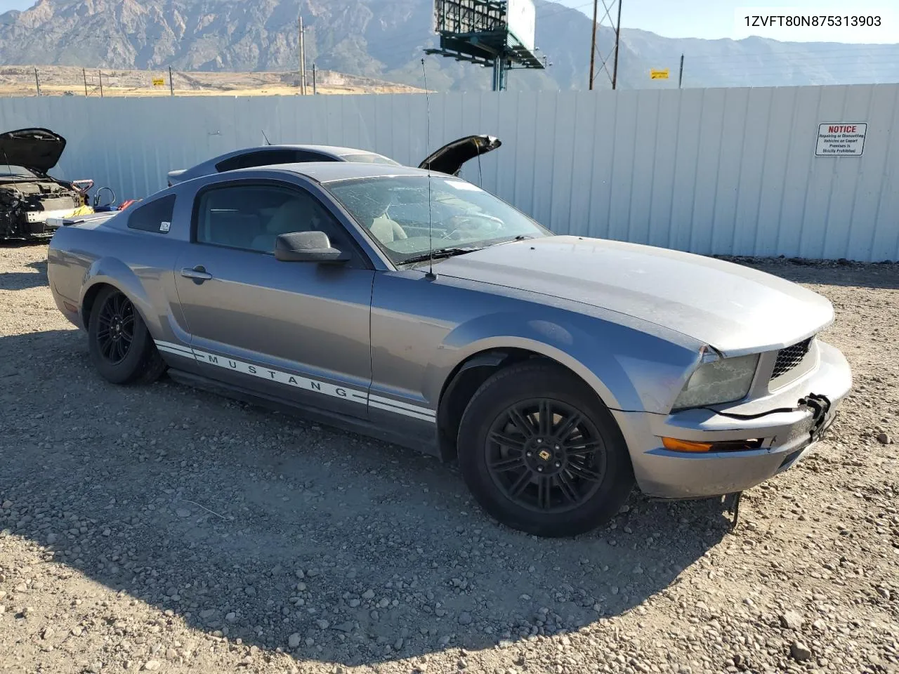 2007 Ford Mustang VIN: 1ZVFT80N875313903 Lot: 72089004