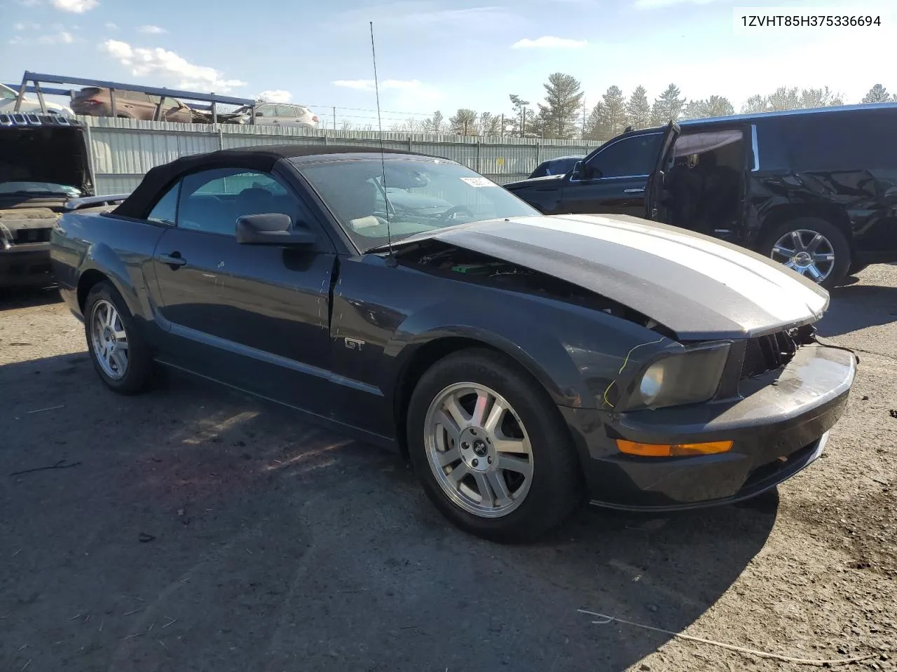 2007 Ford Mustang Gt VIN: 1ZVHT85H375336694 Lot: 79089174