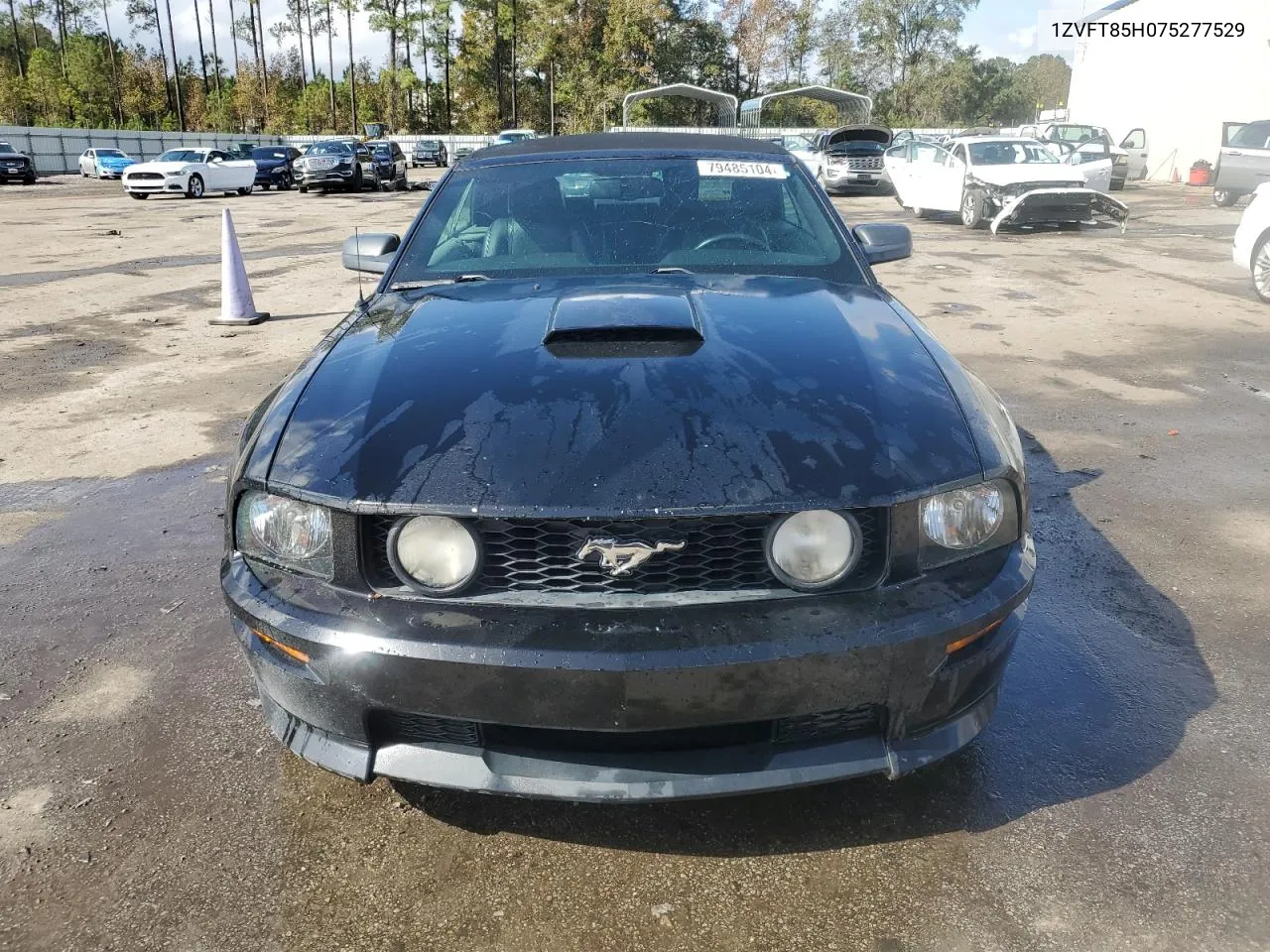 2007 Ford Mustang Gt VIN: 1ZVFT85H075277529 Lot: 79485104