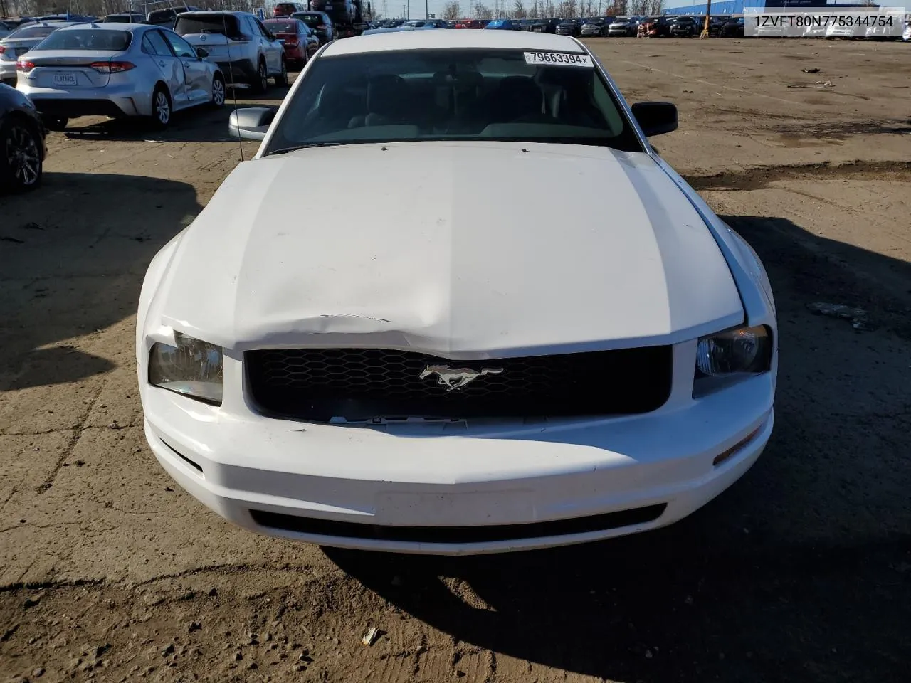 2007 Ford Mustang VIN: 1ZVFT80N775344754 Lot: 79663394