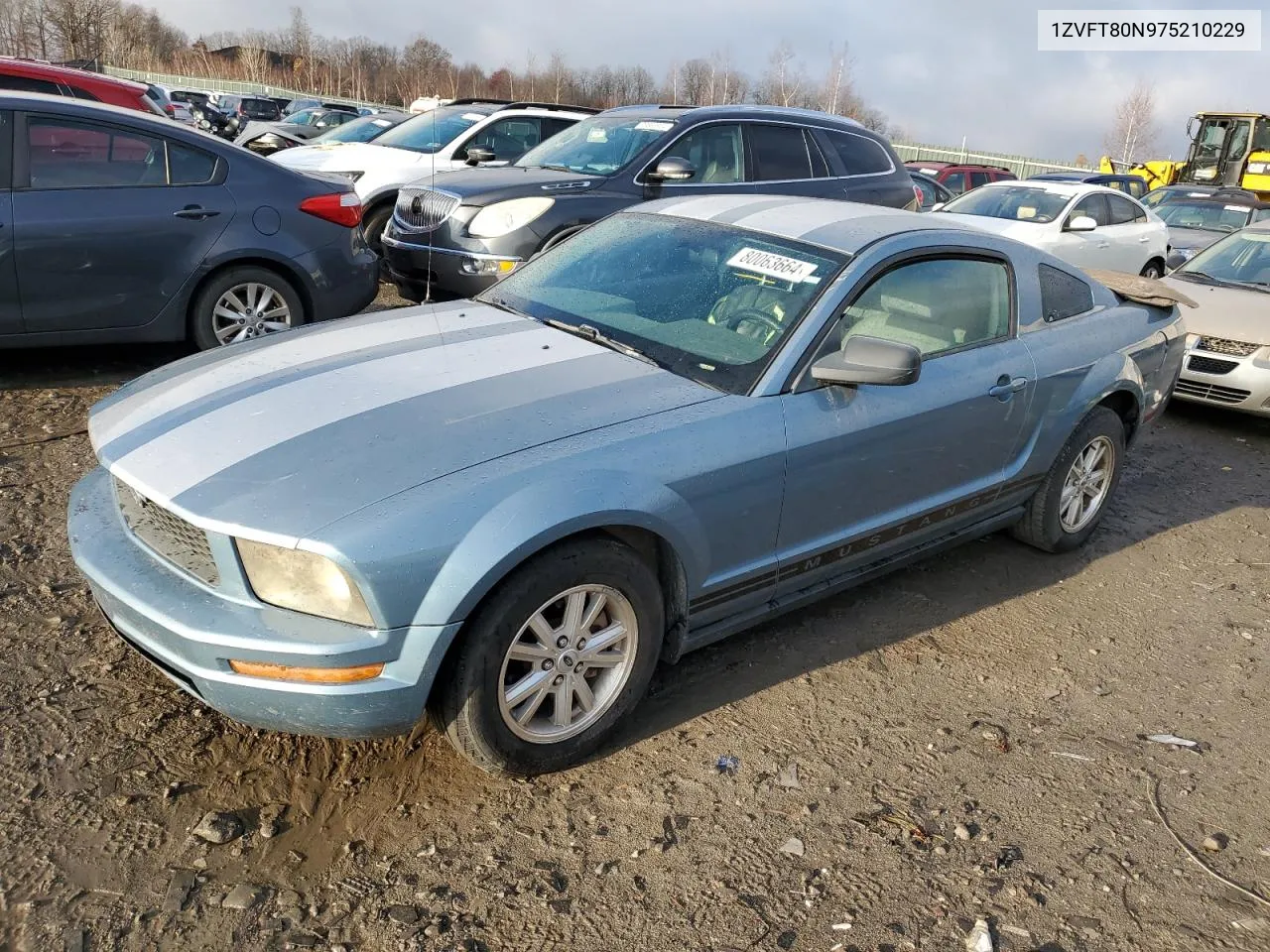 2007 Ford Mustang VIN: 1ZVFT80N975210229 Lot: 80063664