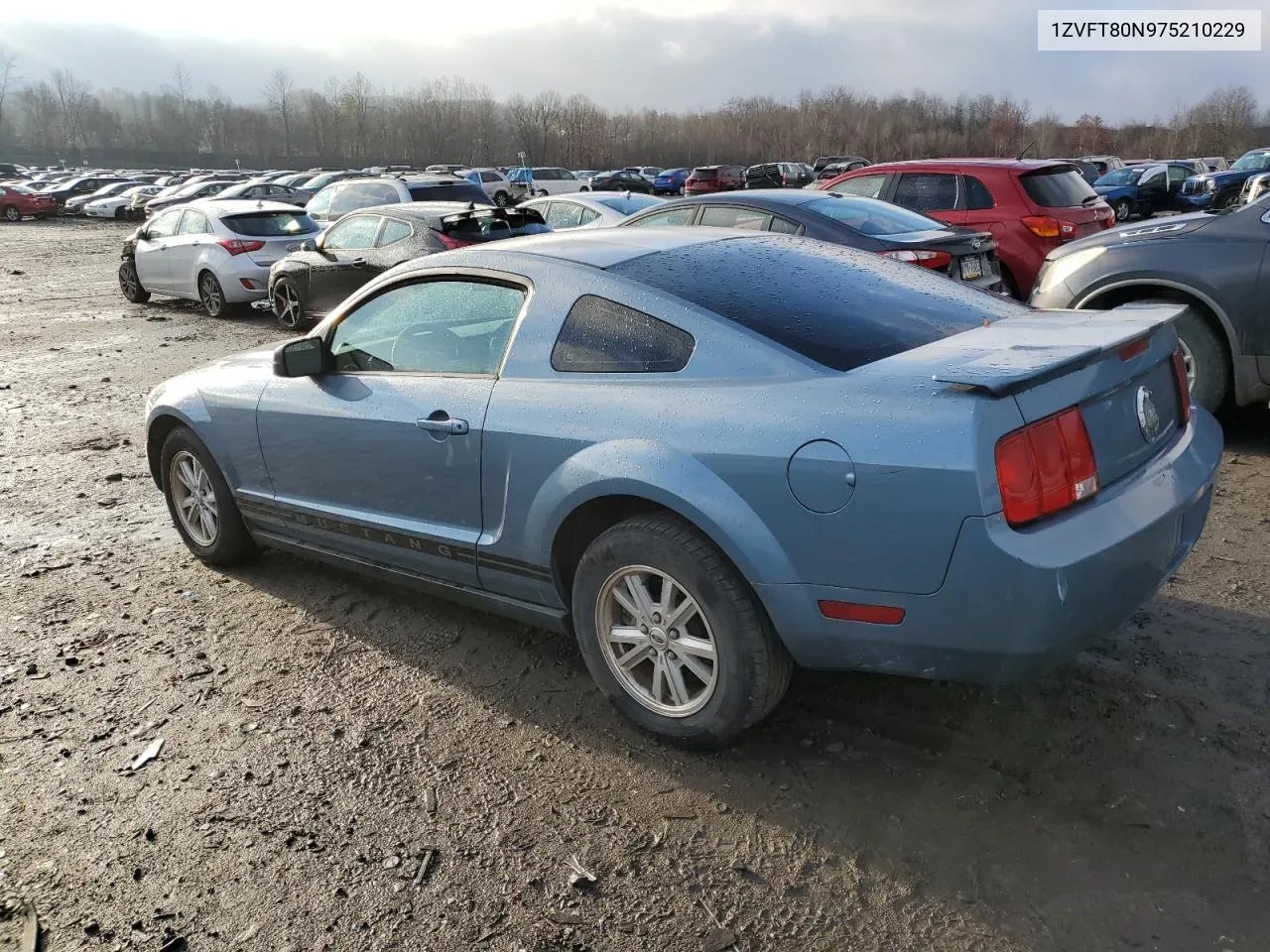 2007 Ford Mustang VIN: 1ZVFT80N975210229 Lot: 80063664