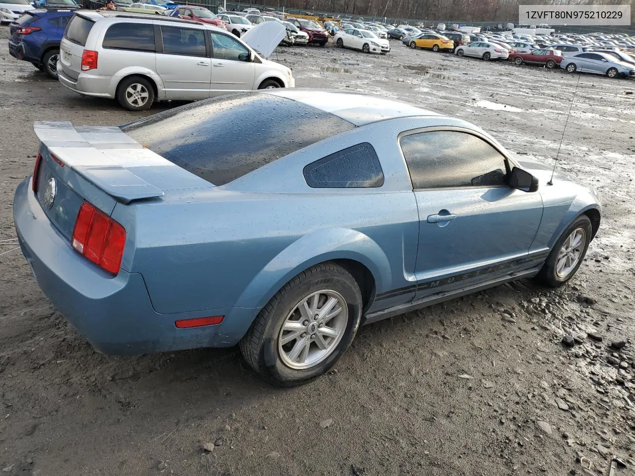 2007 Ford Mustang VIN: 1ZVFT80N975210229 Lot: 80063664