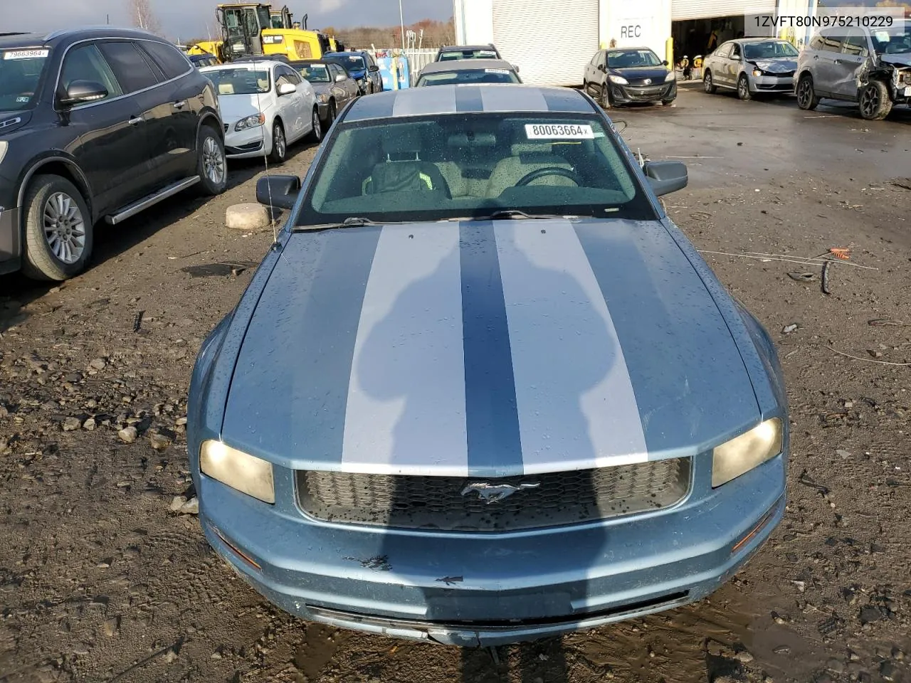 2007 Ford Mustang VIN: 1ZVFT80N975210229 Lot: 80063664