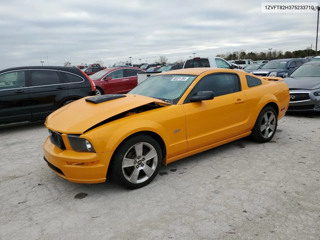 2007 Ford Mustang Gt VIN: 1ZVFT82H375233710 Lot: 80221784