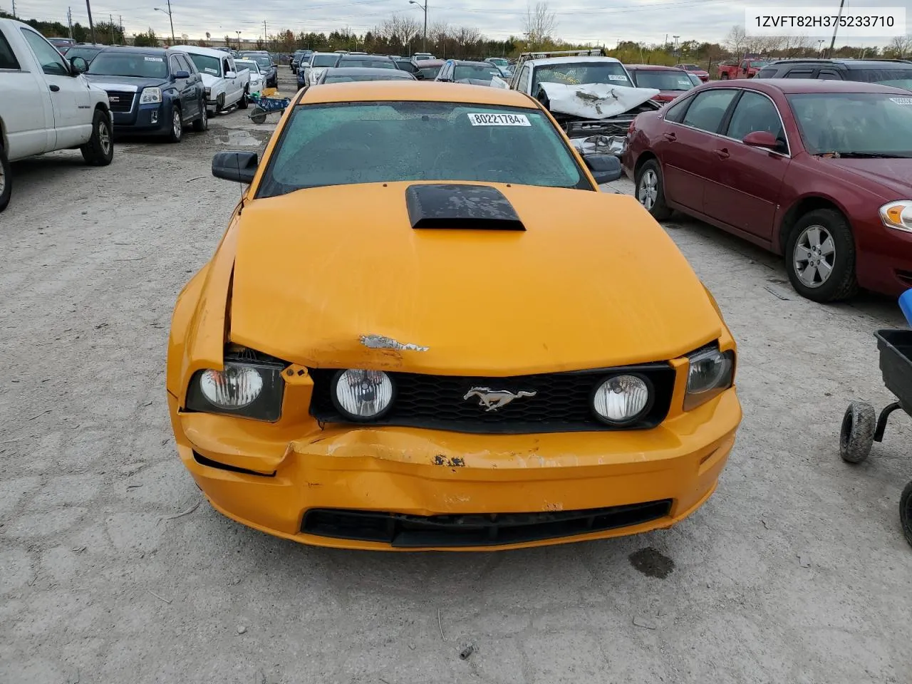 2007 Ford Mustang Gt VIN: 1ZVFT82H375233710 Lot: 80221784