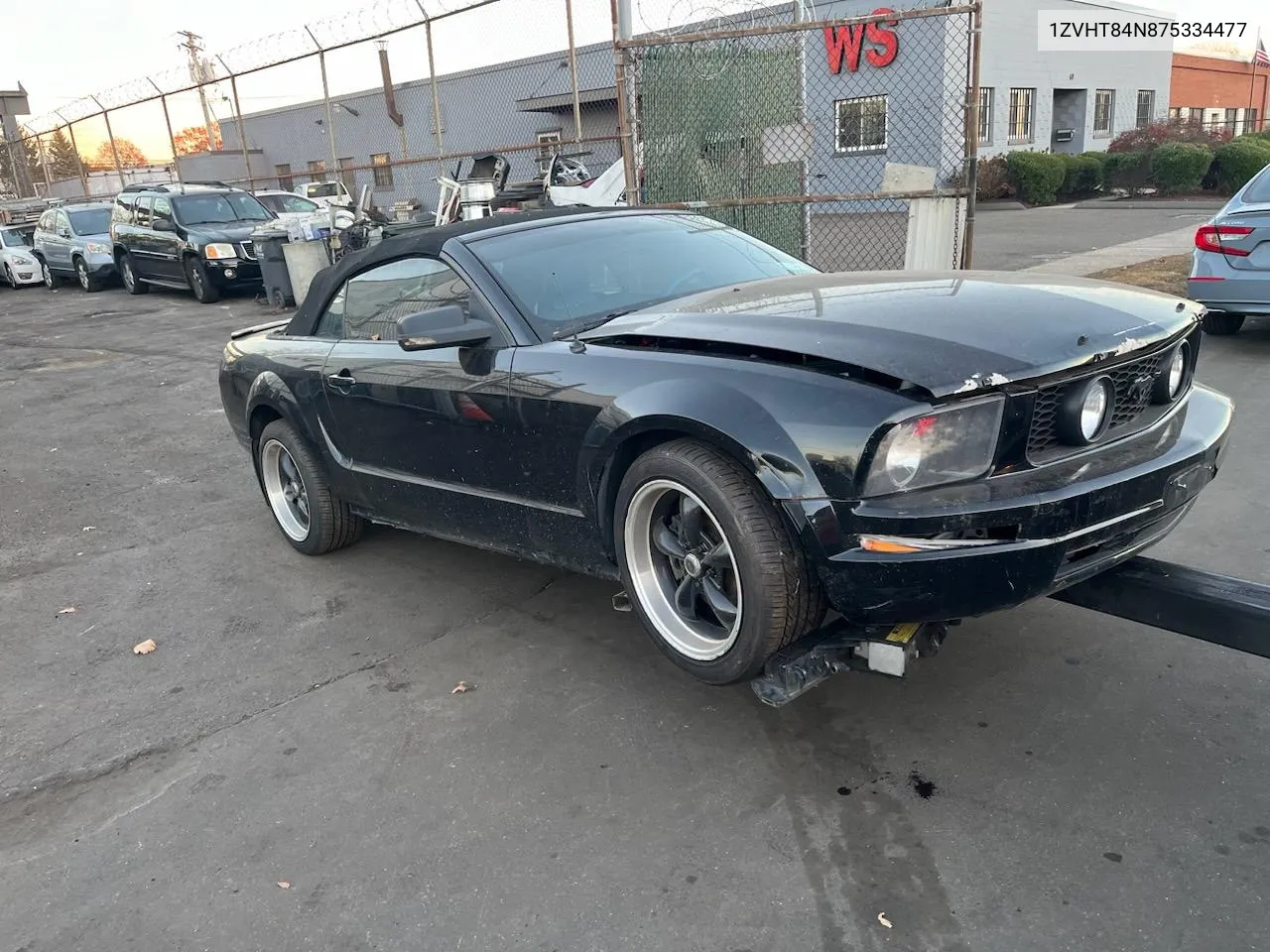 2007 Ford Mustang VIN: 1ZVHT84N875334477 Lot: 80279794