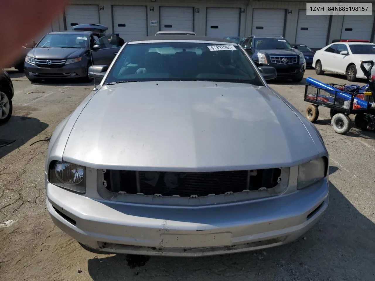 2008 Ford Mustang VIN: 1ZVHT84N885198157 Lot: 61897004