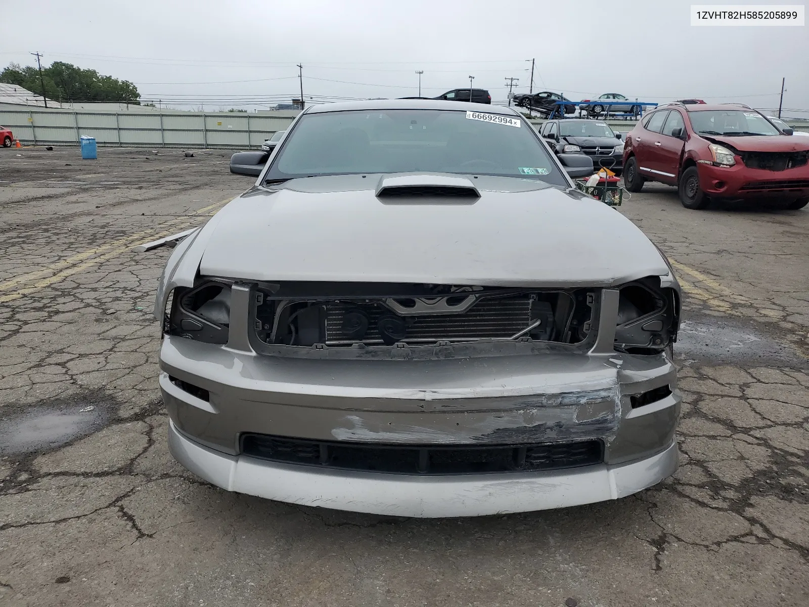 2008 Ford Mustang Gt VIN: 1ZVHT82H585205899 Lot: 66692994