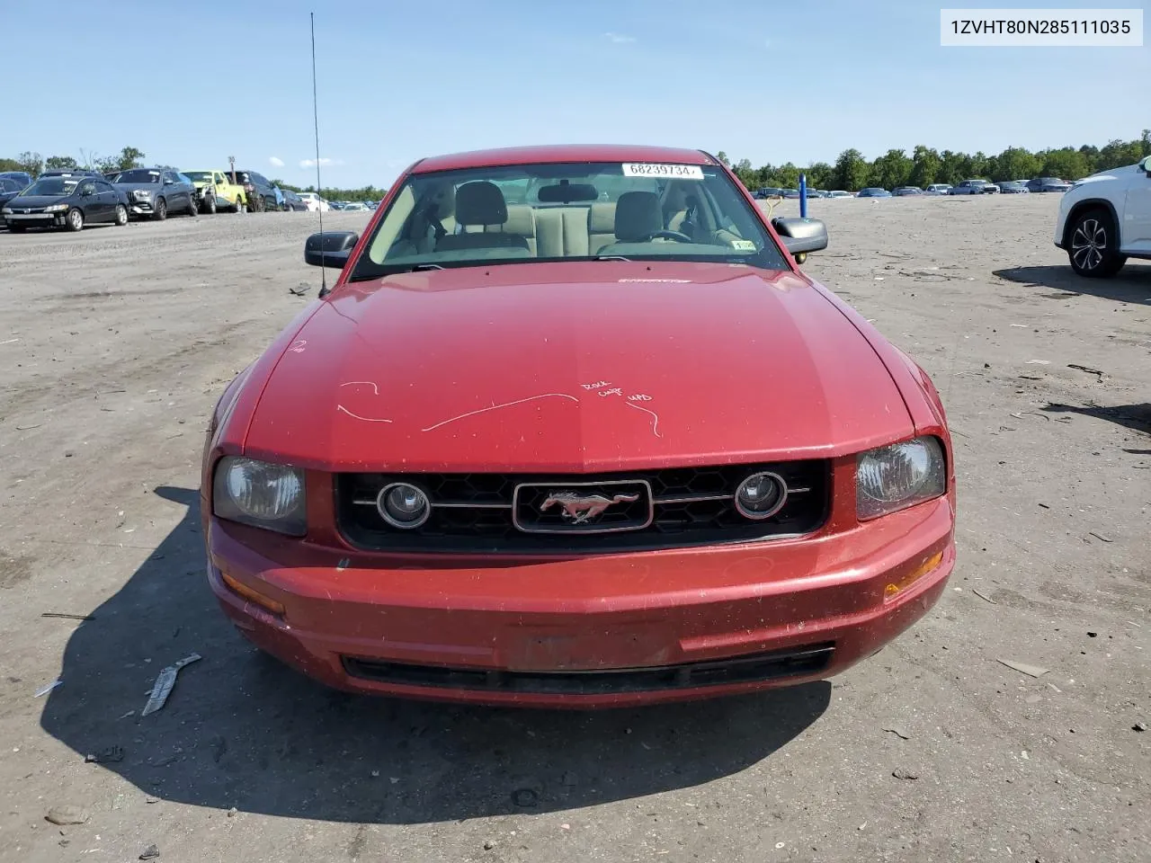 2008 Ford Mustang VIN: 1ZVHT80N285111035 Lot: 68239734