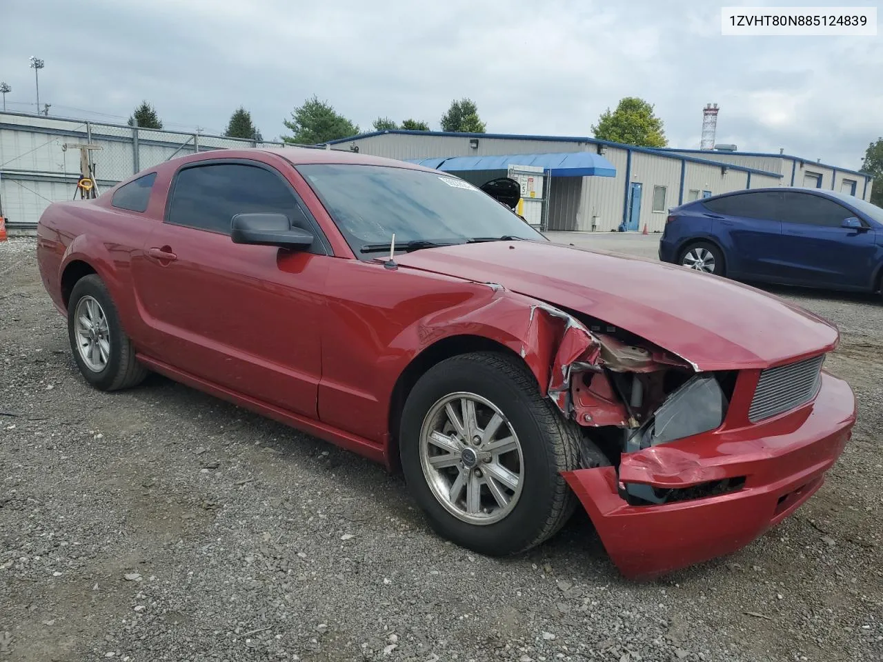 2008 Ford Mustang VIN: 1ZVHT80N885124839 Lot: 69229624