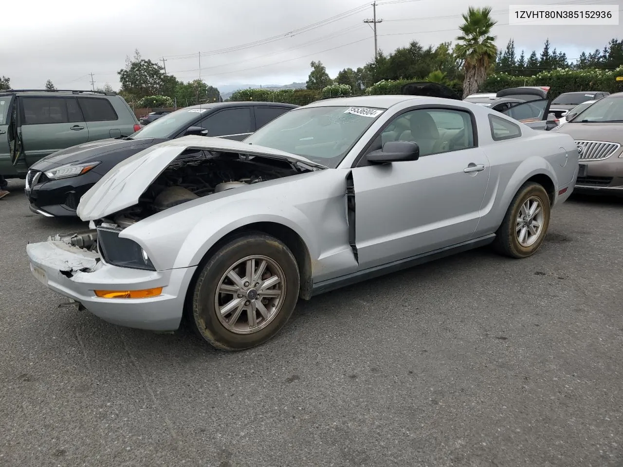 2008 Ford Mustang VIN: 1ZVHT80N385152936 Lot: 69536904