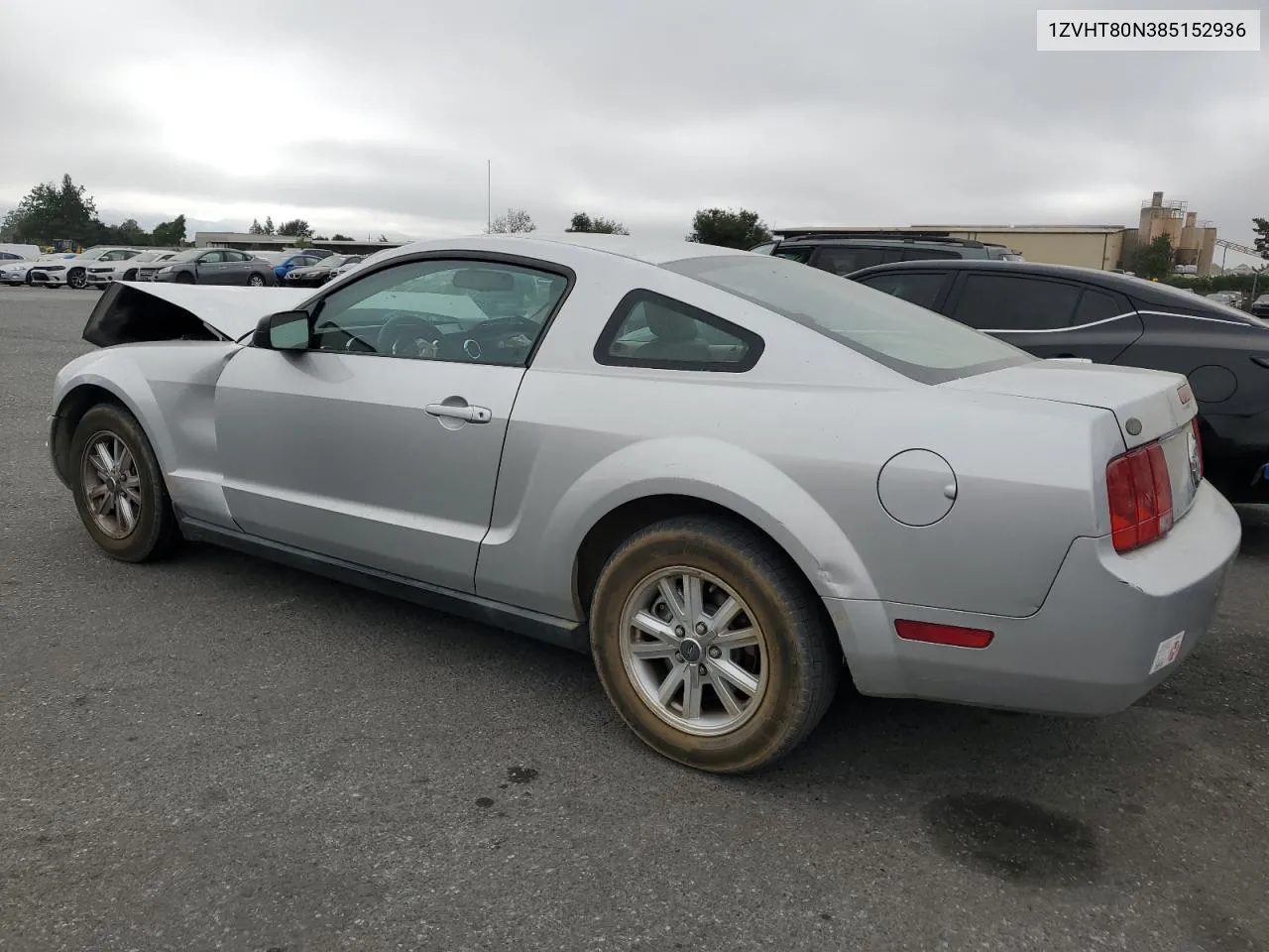 2008 Ford Mustang VIN: 1ZVHT80N385152936 Lot: 69536904