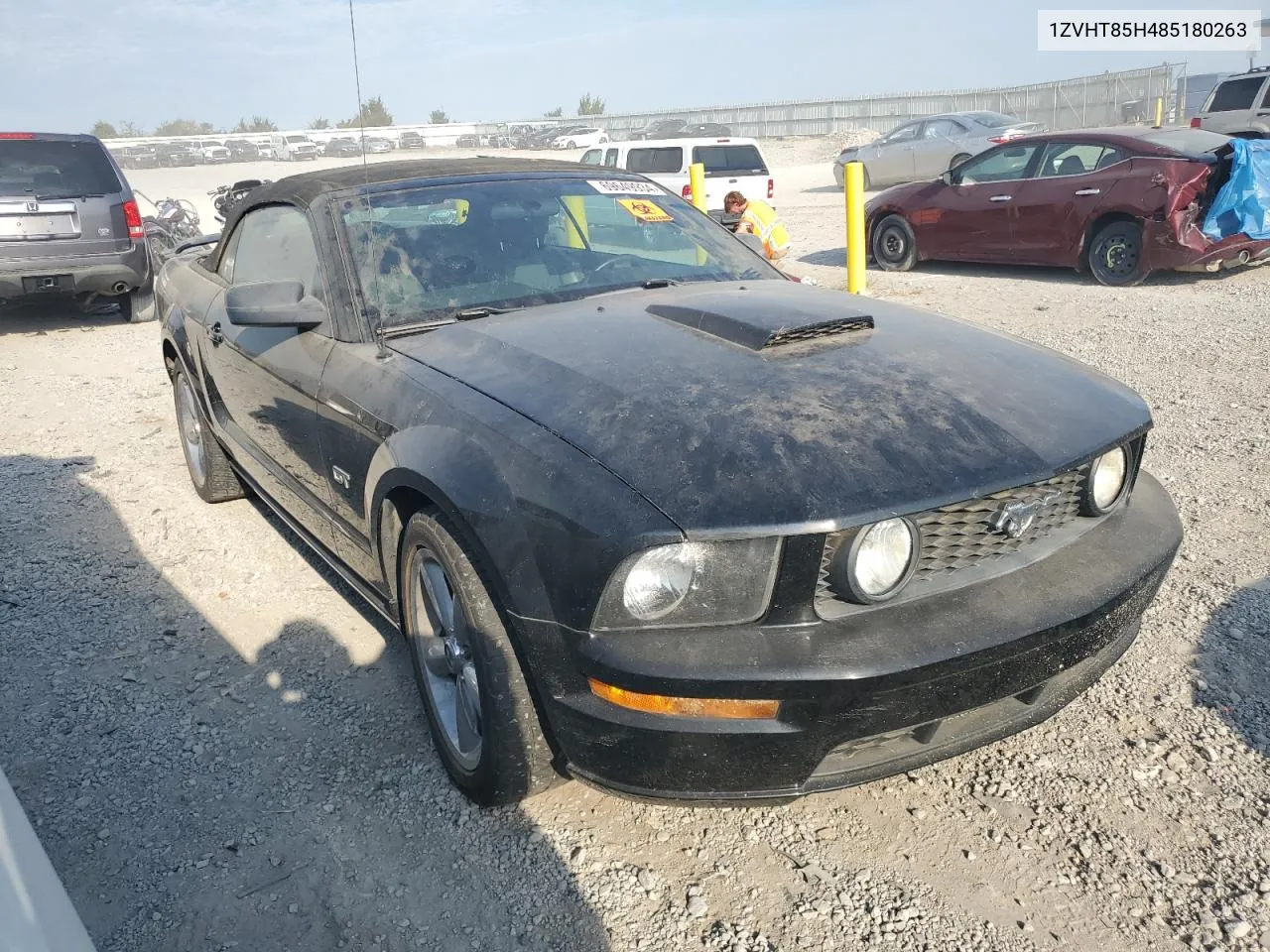 2008 Ford Mustang Gt VIN: 1ZVHT85H485180263 Lot: 69649934