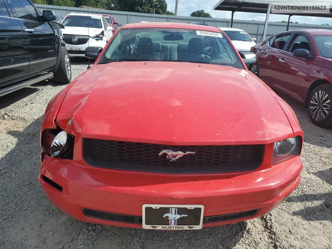 2008 Ford Mustang VIN: 1ZVHT80N085193623 Lot: 70203434