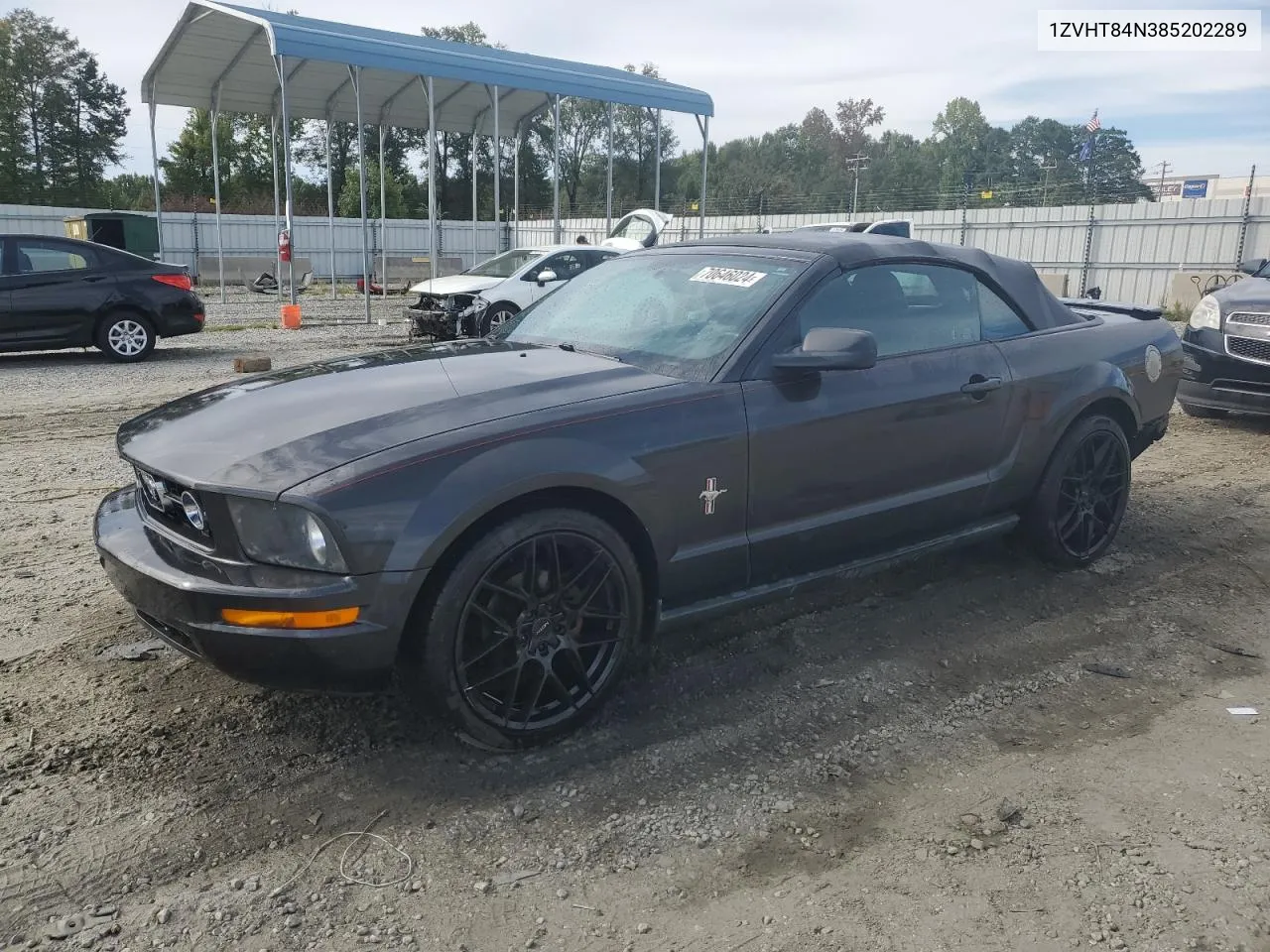 2008 Ford Mustang VIN: 1ZVHT84N385202289 Lot: 70646024