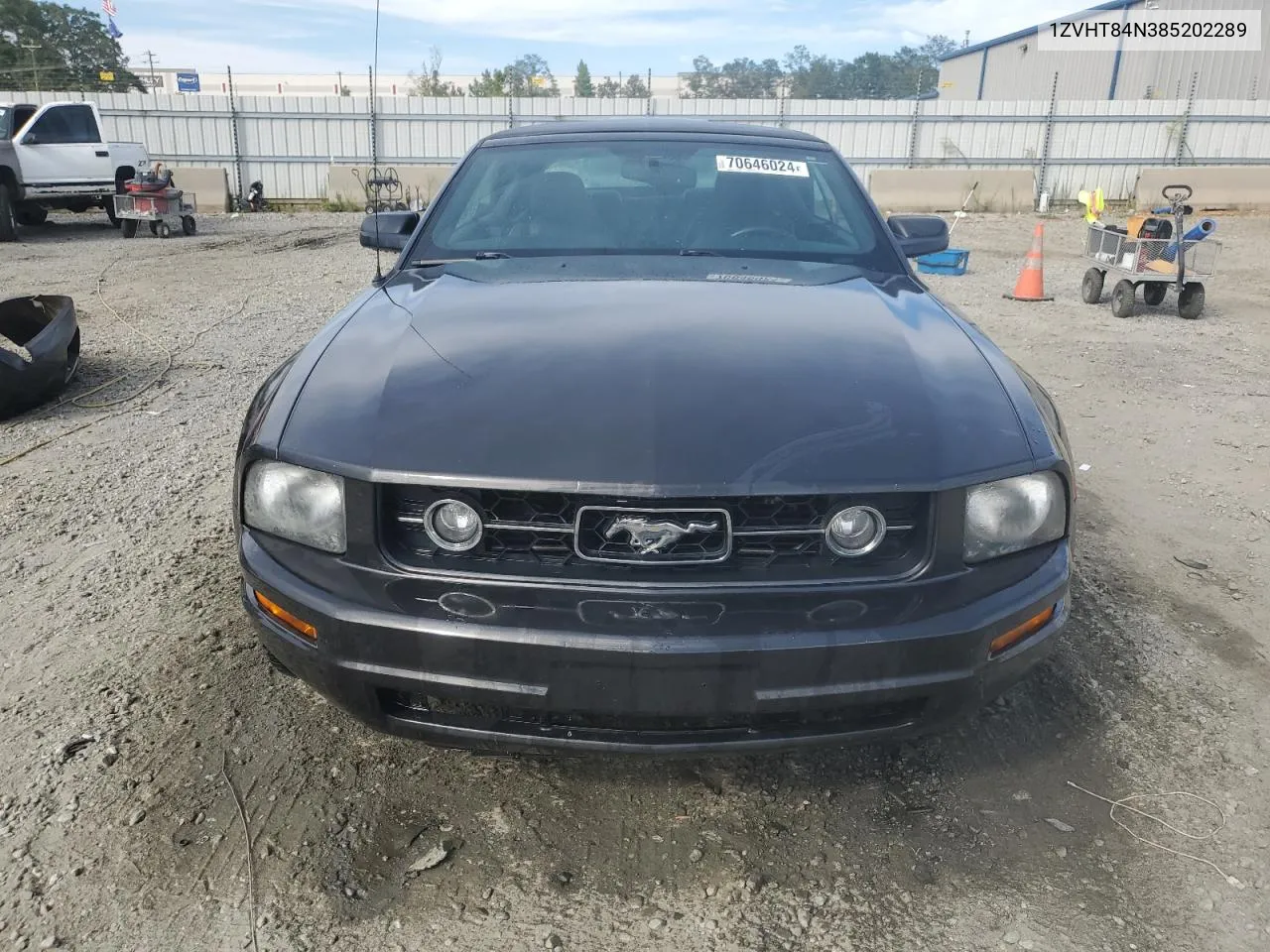 2008 Ford Mustang VIN: 1ZVHT84N385202289 Lot: 70646024