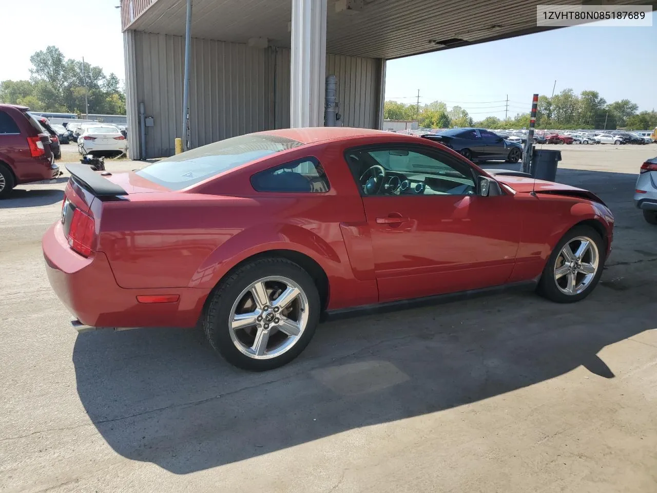 2008 Ford Mustang VIN: 1ZVHT80N085187689 Lot: 71814584