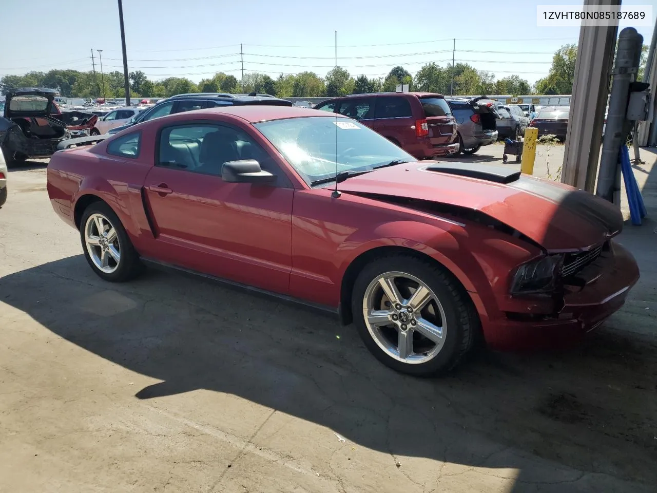 2008 Ford Mustang VIN: 1ZVHT80N085187689 Lot: 71814584