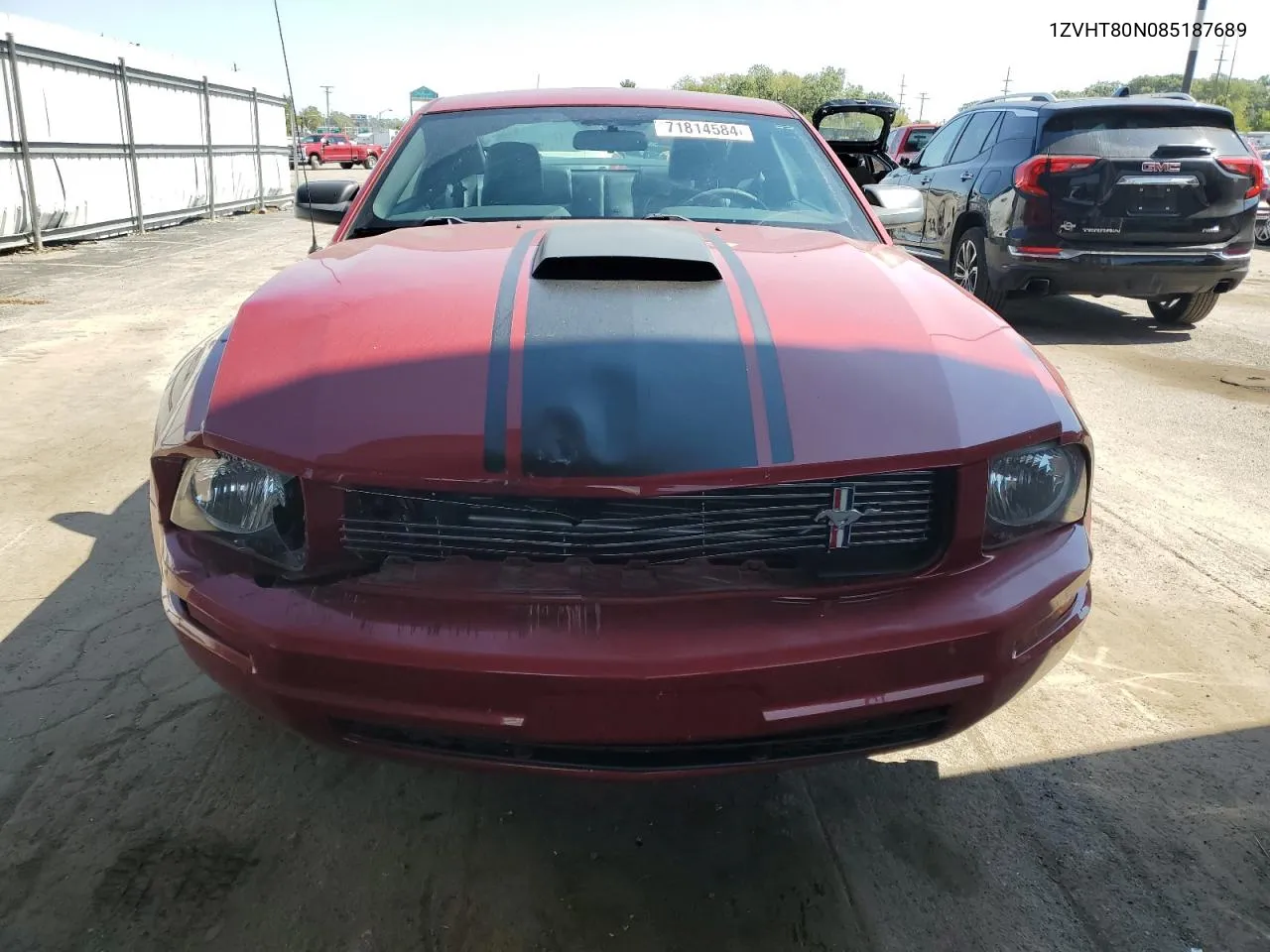 2008 Ford Mustang VIN: 1ZVHT80N085187689 Lot: 71814584