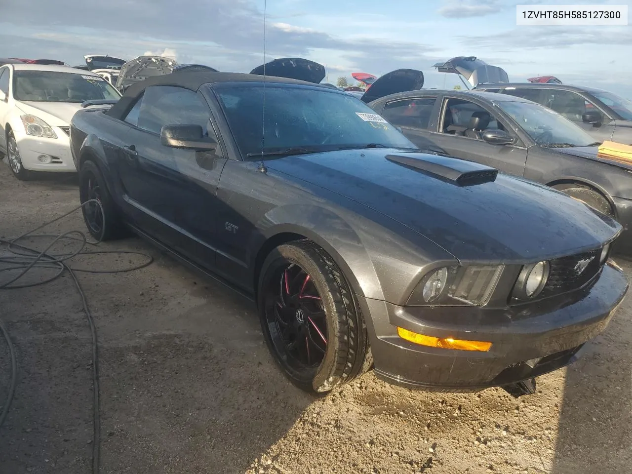 2008 Ford Mustang Gt VIN: 1ZVHT85H585127300 Lot: 73998654